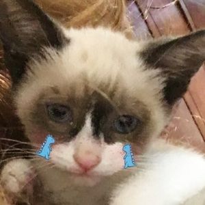 Meet your Posher, Zoe